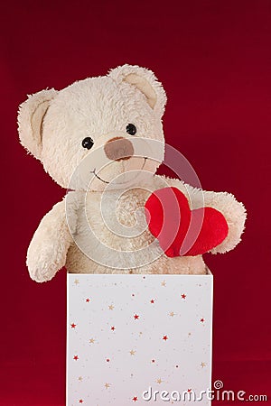 Love Heart Teddy Bear In A Box