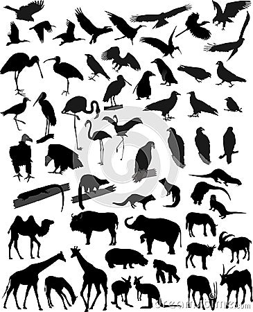 silhouettes of animals. MANY SILHOUETTES ANIMALS