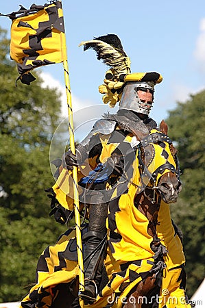 medieval-knight-riding-a-horse-thumb1036697.jpg