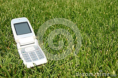 Grass Phone