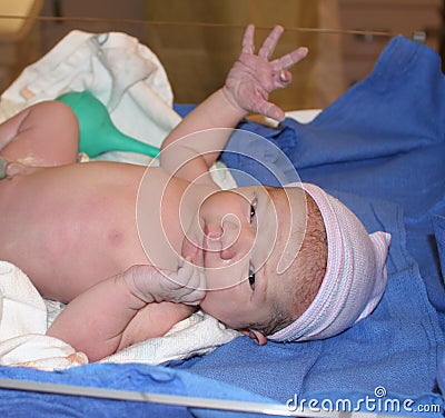 Newborn Baby Pictures  Hospital on New Born Baby In Hospital Royalty Free Stock Image   Image  12077406