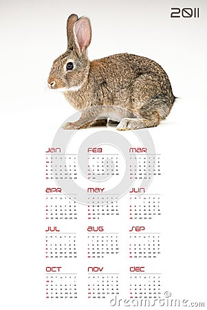 NEW YEAR 2011 CALENDAR WITH RABBIT (click image to zoom)