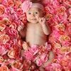 Baby in a bed of roses Stock Photo