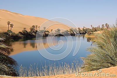 OASIS, SAHARA DESERT (click