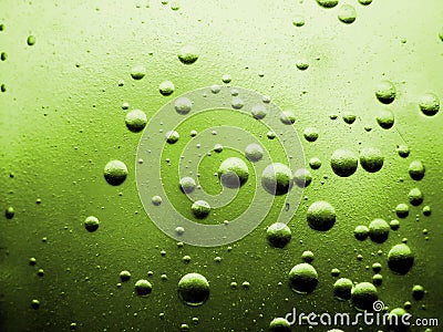 olive wallpaper. OLIVE GREEN BACKGROUND (click