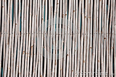 Fashion Pictures  Wall on Home   Stock Photos  Pattern Native Thai Style Bamboo Wall