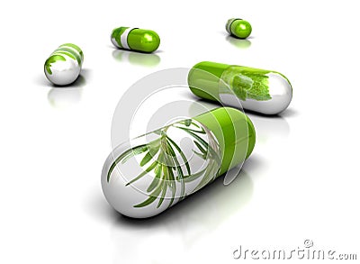 phytotherapy-and-phytopharmacology-thumb14964484.jpg