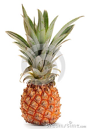 pineapple ananas fruit  click image to zoom