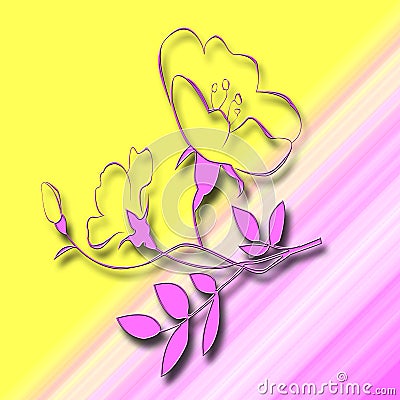 yellow flowers background. Pink and yellow background