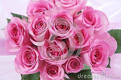pink-roses-thumb2743024.jpg