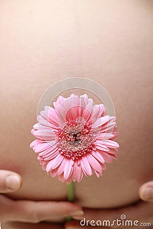 PREGNANT BELLY WITH PINK