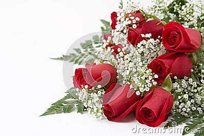 Stock Photo: Red Roses. Image: 492530