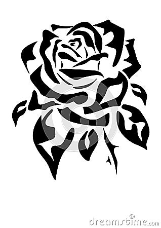 Rose .  Tattoo .