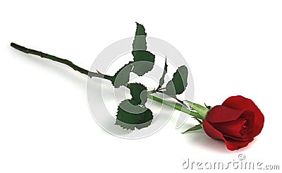 Rose On White Royalty Free Stock Photo - Image: 1143415