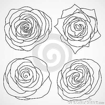 Roseroyalty Flowers on Rose Royalty Free Stock Images   Image  23851279