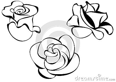 Roses  Illustration