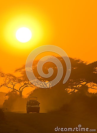safari jeep. Royalty Free Stock Photo: Safari jeep driving through savannah in the sunset
