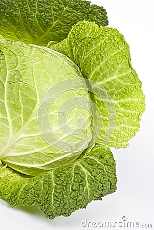 savory-cabbage-thumb6288292.jpg