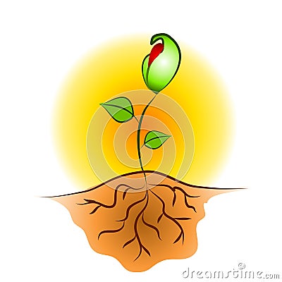 SEEDLING PLANT ROOTS CLIP ART (click image to zoom)