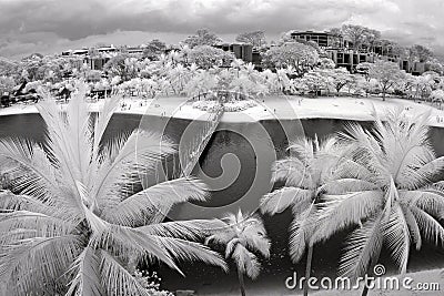 Sentosa Island Singapore Pictures on Royalty Free Stock Photos  Sentosa Island  Singapore  Image  19066778