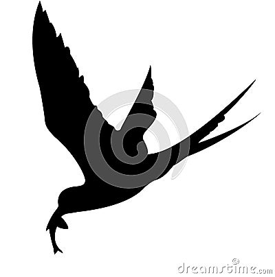 Stock Photography: Silhouette of the sea bird