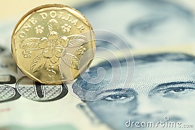 Singapore Coin Picture on Singapore Coin  Click Image To Zoom
