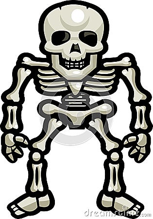 human skeleton cartoon. A human skeleton standing