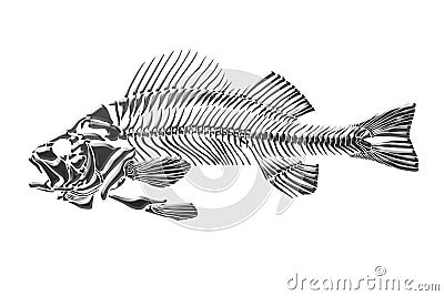 Fish Vector Free on Skeleton Fish Royalty Free Stock Photos   Image  21789588