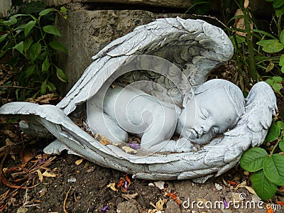 Babies Sleeping Tummy on Sleeping Baby Angel