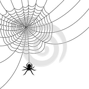 Spider Web/ai File Stock Photos