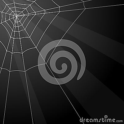 Website Background on Vector Illustration  Spider Web Background  Image  11627154