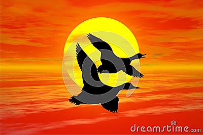 Sunset With Goose Royalty Free Stock Photo
