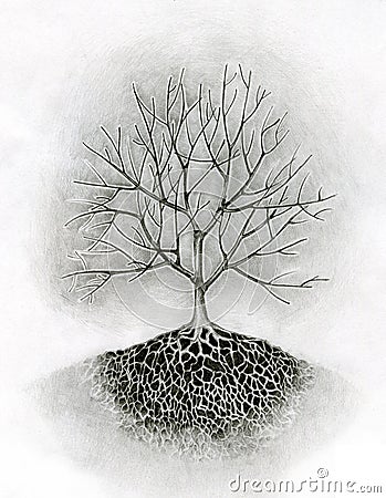 tree drawing with roots. Drawing of a tree. Keywords: