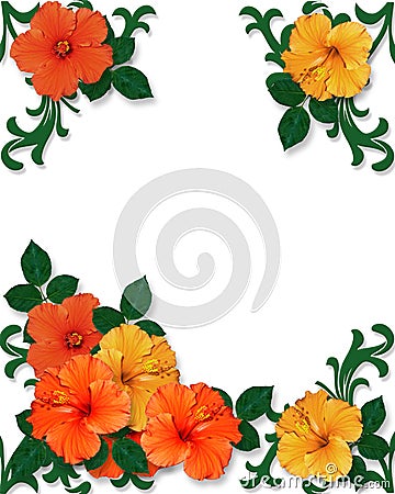 free computer tropical wallpapers. Source url:http://www.dreamstime.com/stock-photo-tropical-hibiscus-flowers- 