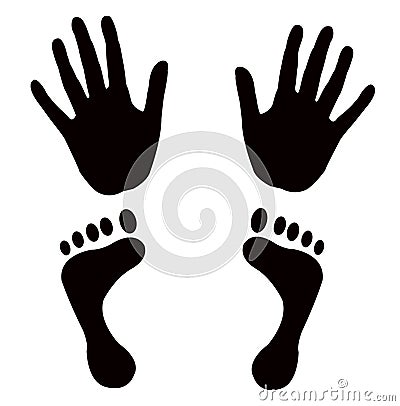 Hand Vector Free on Vector Shapes Hands Feet Royalty Free Stock Images   Image  6698619