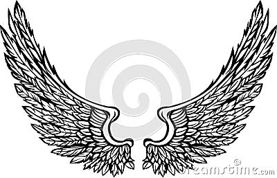 Eagle Wings Vector on Stock Image  Vector Wings Eagle Graphic Image  Image  15569781