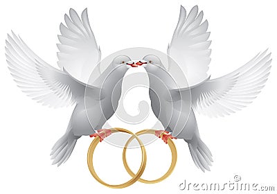 wedding-doves-with-rings-thumb19590807.jpg