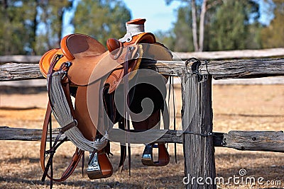 Country Western Fashion on Western Style Horse Saddle  Click Image To Zoom