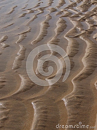 beach sand texture. WET SAND TEXTURE