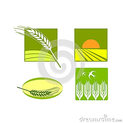 Vector Logo Free on Wheat Food Rice Logo Vector Stock Images   Image  10136174