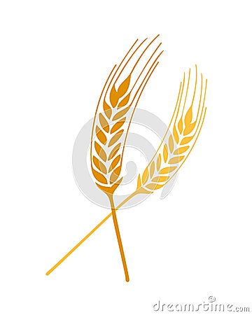 Wheat Vector Free on Wheat Springs Vector Stock Photos   Image  10058433
