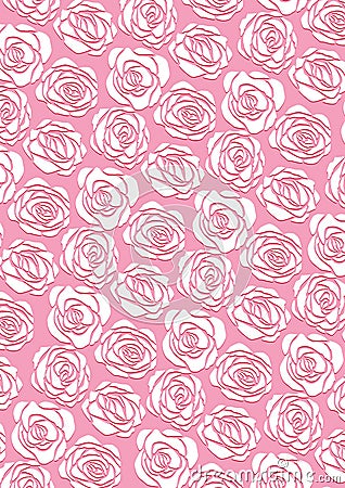 Royalty Free Stock Image: White rose wallpaper