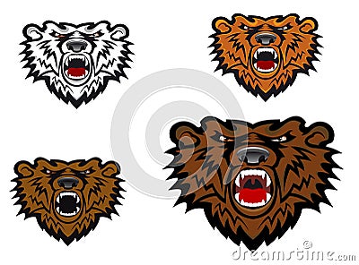 Bear Tattoos on Home   Stock Images  Wild Bear Tattoo