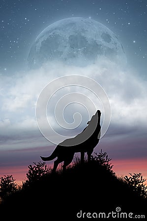 Howling At The Moon. WOLF HOWLING AT FULL MOON