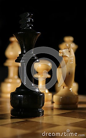 Wooden Chess Pieces Stock Image - Image: 5024151