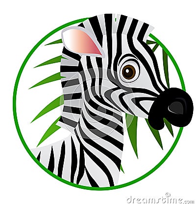 pictures of zebras cartoon. ZEBRA CARTOON (click image to