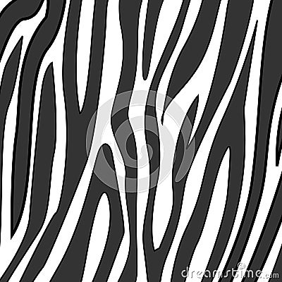 Zebra on Zebra Print Royalty Free Stock Image   Image  4082116