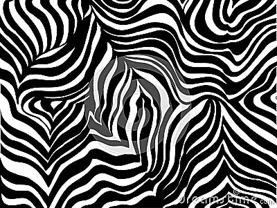 black and white zebra print background. Black and white Zebra stripe