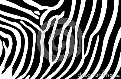 Classic Wallpaper Backgrounds on Illustration Of Zebra Stripes Background For Textured Purpose