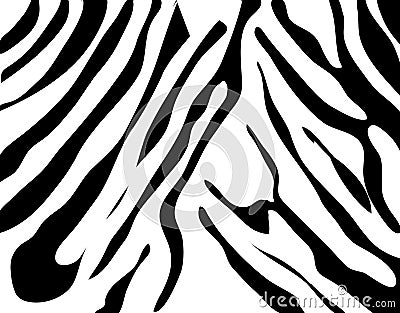 black and white pictures of zebras. ZEBRA TEXTURE BLACK AND WHITE